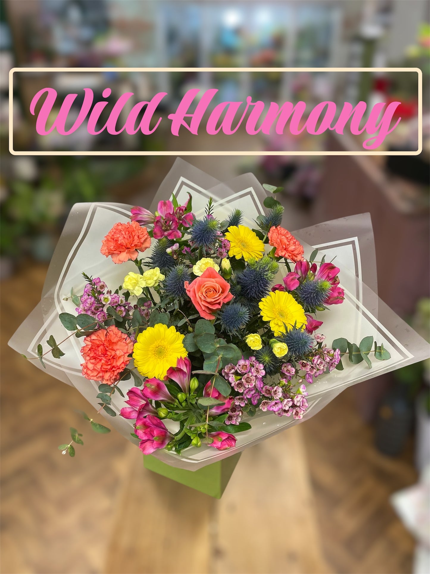Wild Harmony