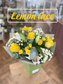 Lemon Lace